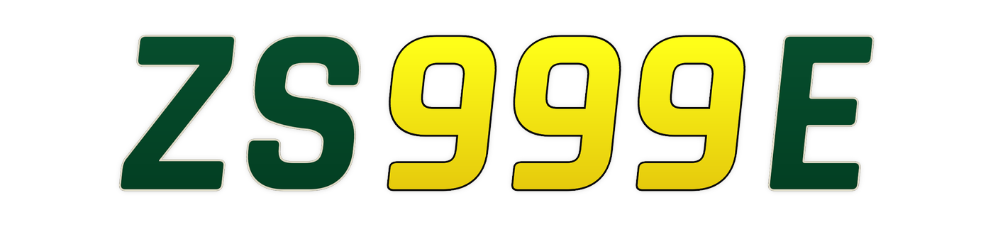 zs999e